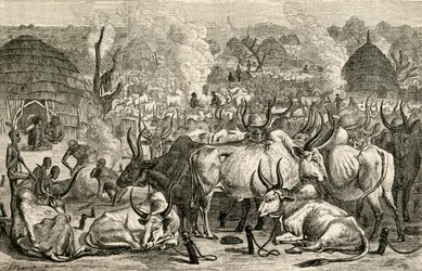Ein Dinka-Rinderpark, Südsudan, Afrika, aus 